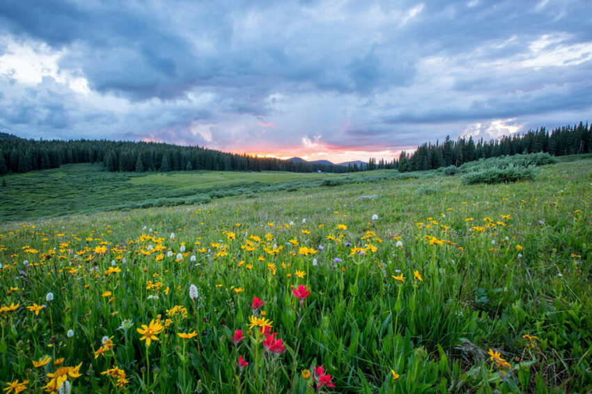 Where to travel in spring